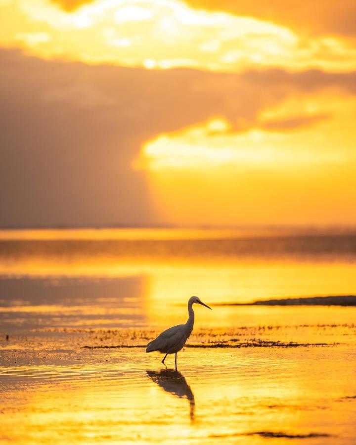 Hakuna Majiwe Beach Lodge Paje Eksteriør billede