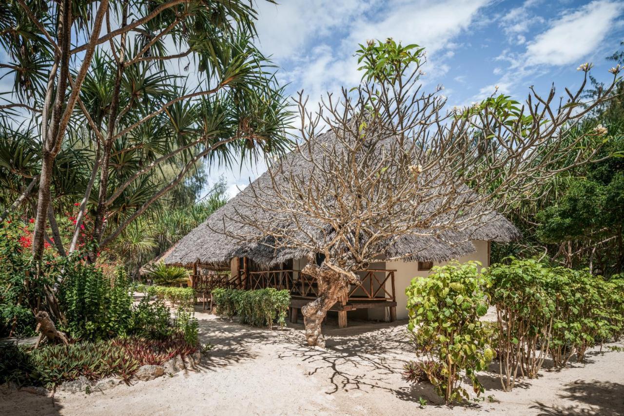 Hakuna Majiwe Beach Lodge Paje Eksteriør billede